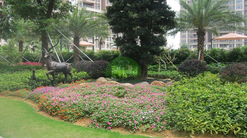 市政园林绿化预算报价单：编制要点与常见误区**