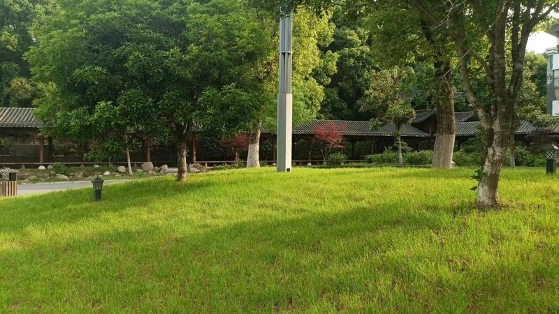 苗木种植技术：反季节移栽风险规避与成功关键