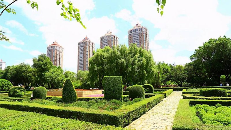 市政绿化工程招标公告预算编制要点解析**